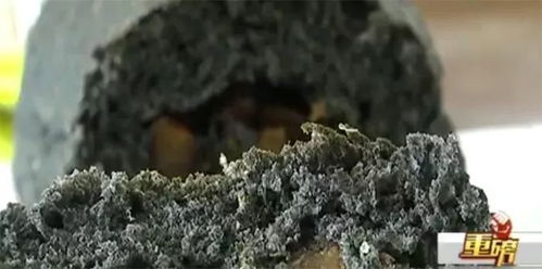 火遍临沂的竹炭花生、竹炭面包被曝光 能排毒养颜？别傻了，机制竹炭害人不浅